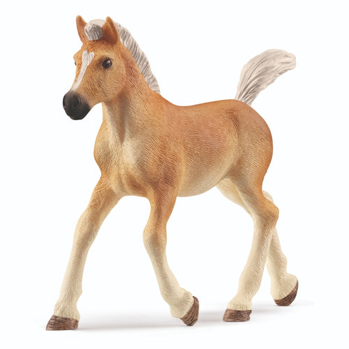 Schleich haflinger veulen