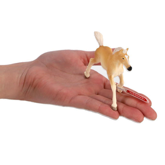 Schleich haflinger veulen