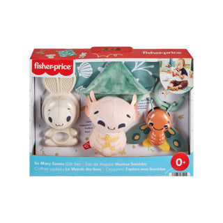 Load image into Gallery viewer, Fisher price kado set so many senses
