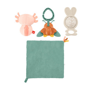 Load image into Gallery viewer, Fisher price kado set so many senses
