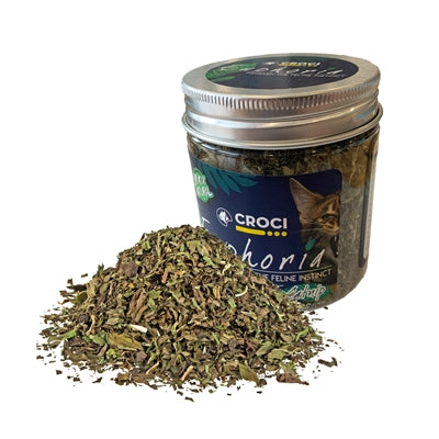 Load image into Gallery viewer, Croci euphoria catnip pot
