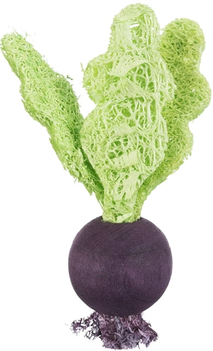 Trixie speelbal set biet aardbei hout loofah