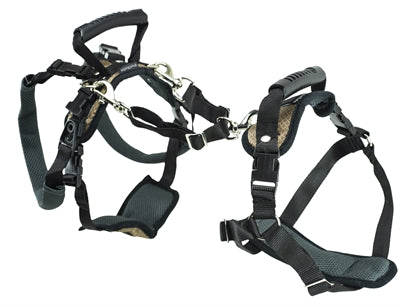 Load image into Gallery viewer, Petsafe carelift voor en achter
