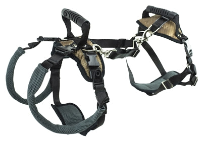 Load image into Gallery viewer, Solvit petsafe carelift voor en achter
