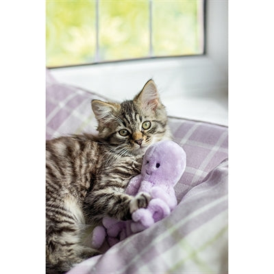 Load image into Gallery viewer, Jolly moggy Moggy under the sea octopus
