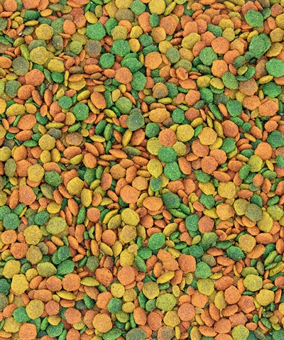 Load image into Gallery viewer, Nutribird Tropical g14 onderhoudsvoeder
