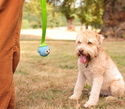 Load image into Gallery viewer, Chuckit the whistler
