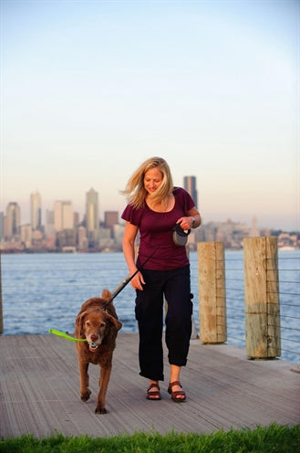 Load image into Gallery viewer, Chuckit the whistler
