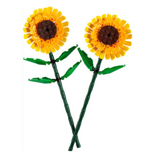 Afbeelding laden in galerijviewer, Lego | 2 stuks
