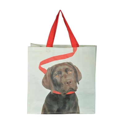 Load image into Gallery viewer, Boodschappentas hond aan riem assorti
