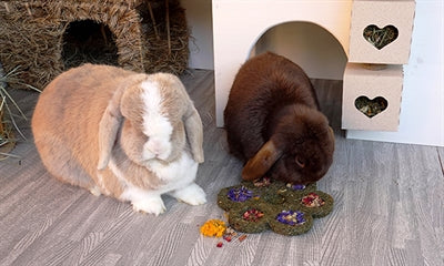 Load image into Gallery viewer, Naturals Naturals flower 'n' forage blossom
