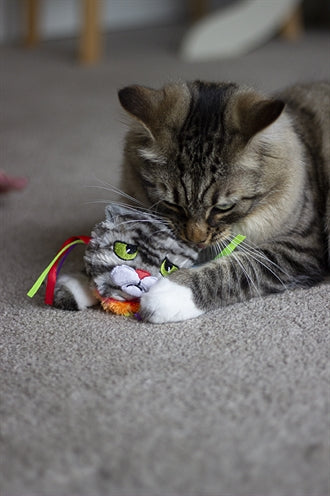 Load image into Gallery viewer, Rosewood Moody moggy regenboog grijpspeelgoed
