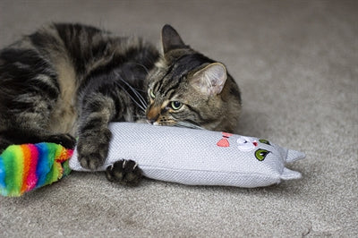 Load image into Gallery viewer, Rosewood Moody moggy regenboog kicker
