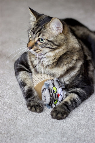 Load image into Gallery viewer, Rosewood Moody moggy krabspeelgoed karton
