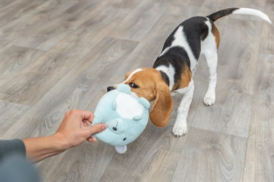 Load image into Gallery viewer, Trixie Pluche beer mintgroen voor puppy
