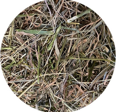 Load image into Gallery viewer, Utopia Timothy hooi met peterselie
