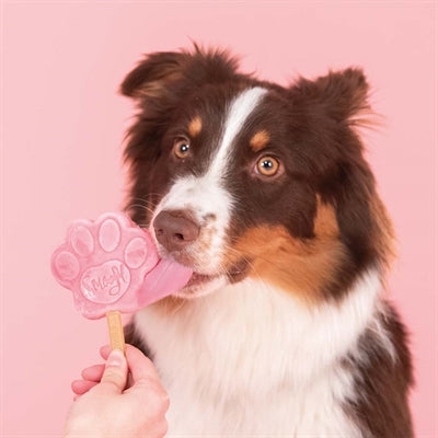 Load image into Gallery viewer, Smoofl ijsmix voor honden watermeloen
