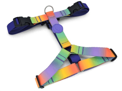 Load image into Gallery viewer, Morso hondentuig h-tuig gerecycled spring blossom
