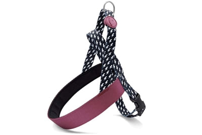 Load image into Gallery viewer, Morso norwegian hondentuig gerecycled power flow zwart
