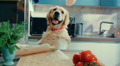 Load image into Gallery viewer, Morso halsband hond gerecycled bubble leo roze
