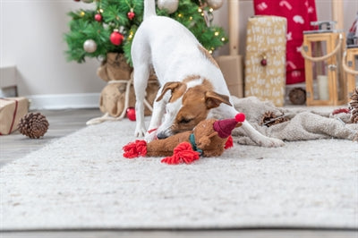 Load image into Gallery viewer, Trixie Xmas rendier pluche flostouw
