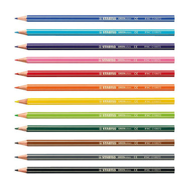 Abi stlo greencolors arty kleurpotloden etui a 12 stuks