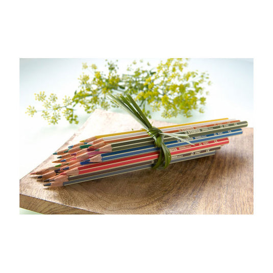 Abi stlo greencolors etui 12 kleuren
