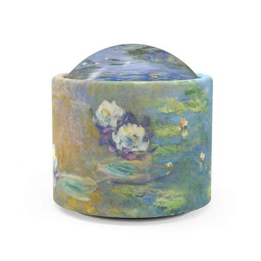Brillygv2 muziekje: monet nympheas. (la