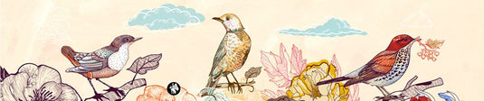 Rondo muziekje: birds 02 (mozart lullab)