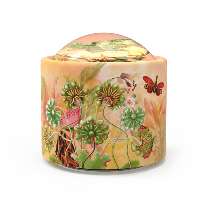 Afbeelding laden in galerijviewer, Brilly023 muziekje: happy days. happy da
