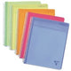 Notitieboek clairefontaine linicolor a4+