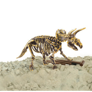 Afbeelding laden in galerijviewer, Dino base | 3 stuks
