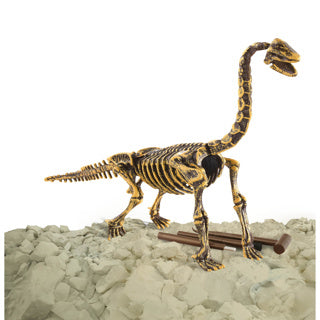 Dino base dinobase dino uitbikken brachiosaurus 3d set | 3 stuks