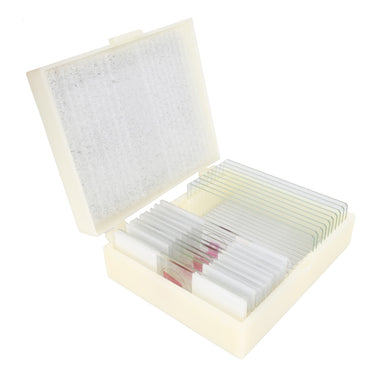 Konus preparaten set bacterieën, simpele organismen (10 stuks)