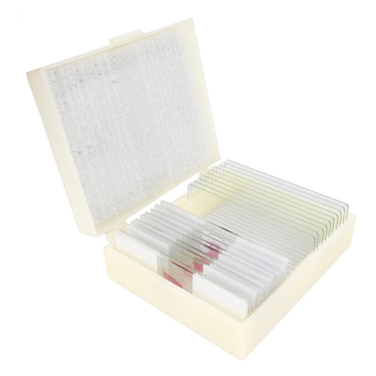 Konus preparaten set parasieten (10 stuks)