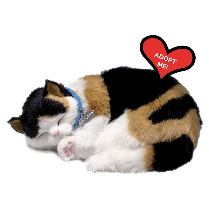 Load image into Gallery viewer, Perfect petzzz perfect petzzz soft lapjeskat
