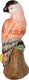 Hd collection ornament vogel aardewerk 11,5x13,5x34cm