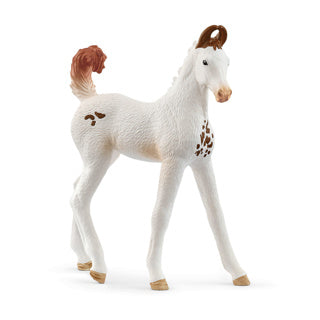 Schleich horse club - marwari veulen - 14896