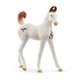 Schleich horse club - marwari veulen - 14896