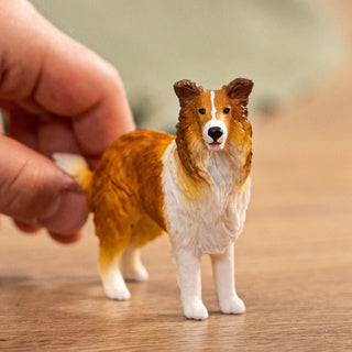 Schleich 13998 collie | 5 stuks