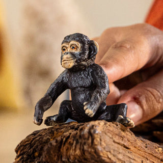 Schleich | 5 stuks