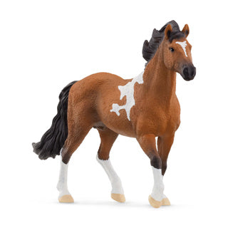Load image into Gallery viewer, Schleich 13978 mangalarga marchador hengst | 5 stuks

