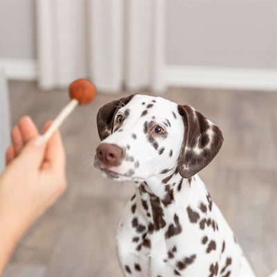 Load image into Gallery viewer, Trixie premio lolly met kabeljauw
