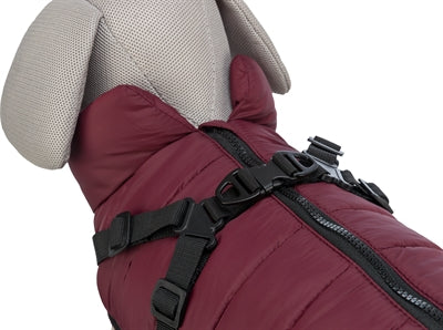 Load image into Gallery viewer, Trixie hondenjas pirou met tuig sangria
