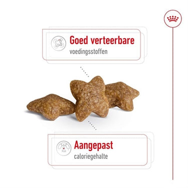 Royal canin mini adult