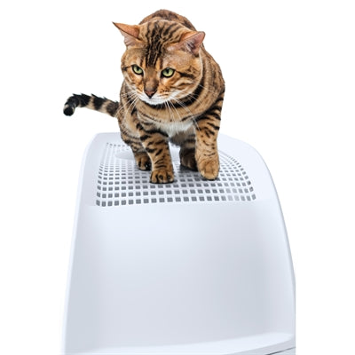 Load image into Gallery viewer, Imac kattenbak frida met lade blauw
