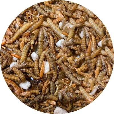 Load image into Gallery viewer, Utopia insectenmix
