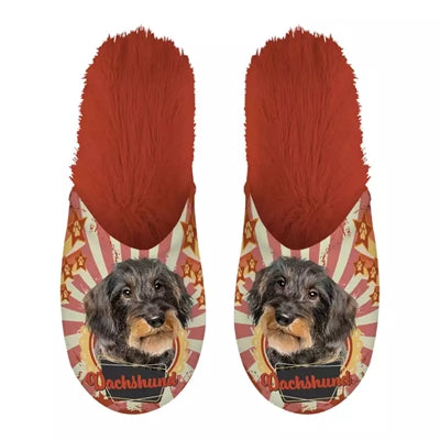 Load image into Gallery viewer, Pantoffel dachshund teckel oranje
