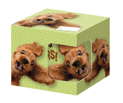 Plenty gifts mok big ears groen