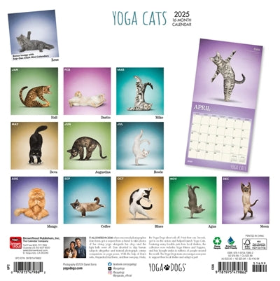Load image into Gallery viewer, kalender yoga cats 2025
